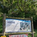 궷물오름 | 제주 서쪽여행 말이 있는 궷물오름 포토존 및 소요시간 후기