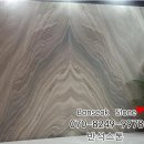 파리사 이미지
