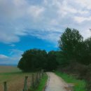 무지개약수터 | 순례길 6일차 추억 여행 : 에스테야 → 토레스 델 리오 30km | 이라체 수도원 와인 약수터 체험 후기