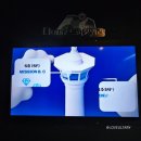 용두산 공원 랜드마크 부산 타워 주차정보와 입장료 할인 팁 ft. 대선주조 디귿시옷