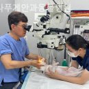 아나푸게안과동물병원 네이버블로그