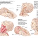 태현한의원 이미지
