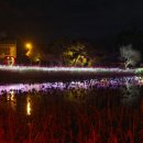 틀모산 도시숲 이미지