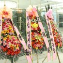 아리랑호텔 이미지