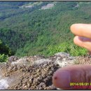 백운산갈비 이미지