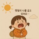 콩쥐팥쥐
