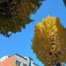 첨단기업로2R(2)-3 | 직관후기 : 2025-26 V리그 2R 현대캐피탈-대한항공