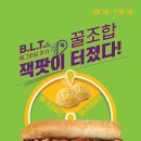 써브웨이 티스토리