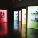 캣 소사이어티 이미지