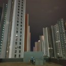 용인대단재태권도 이미지