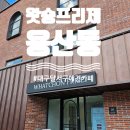 뽀삐애견샵 | 대구 달서구 용산동 왓숑프리제 실내 야외 대형 애견카페 방문후기