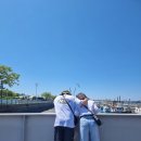 장미칼국수 이미지