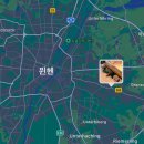쉼터민박 | [독일/뮌헨] 뮌헨 한인민박 쉼터하우스 후기 및 추천👍🏻