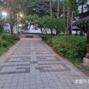 흰돌1호 이미지