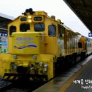 금빛교회 이미지