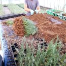 블루엔젤 하우스 이미지