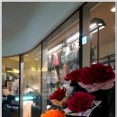 Hino’s Recipe 이미지