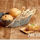 영농조합법인 산골농장