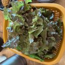 항아리황금보쌈 이미지