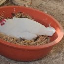 연향농장 이미지