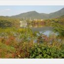 마음의 고향 이미지