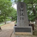 관방제림! 인공숲(제방에 조성된 숲 : 푸조나무. 팽나무. 느티나무. 벚나무) 전남 담양읍 소제 2026년 6월 27일(토)... 이미지