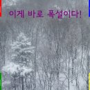 하얀네일 - 사상구 동주로 24 | 하얀네일