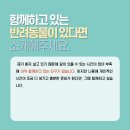 동심동물병원 이미지