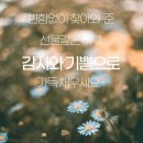 예쁜하루 이미지