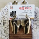 태양타이어 이미지