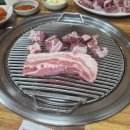 고기팩트 | [수원/동수원 맛집] 두툼한 생고기와 숯불의 완벽한 조화! '동수원소금구이' 팩트 후기