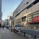 스텔라홈스테이