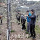 하나안심축산 이미지
