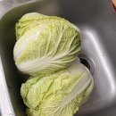 (내 기준) 초간단 백김치 레시피 이미지