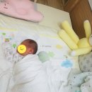 파리바게트김포신감정점 | 케이맘 산후도우미 김포점 3주이용 대만족 후기 :)