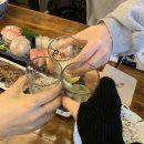 디아크리조트 이미지