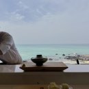 연 | 애월 오마카세 맛집, 제주 바다보며 즐기는 스시연 후기