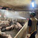 전라남도농업기술원 축산연구소 이미지