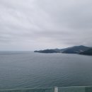 모이핀