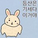 셰르파투어 | 블랙야크 BAC 명산100버스 첫 탑승 후기