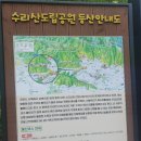 [경기 군포] 철쭉동산 5월 첫째주 구경 후기 (feat. 5월 철쭉 상황 공유)