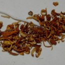 목사내아 이미지