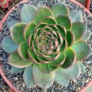 꿈의궁전 이미지