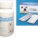 진실약국 이미지