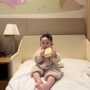 용인(강릉)졸음쉼터 | 강릉 세인트존스 호텔 16개월 아기 호캉스 (수영장·조식·해피아워 꿀팁) + 하슬라아트월드