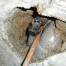 금호목욕탕 이미지