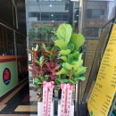 홀덤스쿨