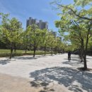 새물근린공원 이미지