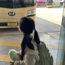 667 | [치앙마이 한 달 살기#5] 7살 아이와 대한항공 인천-치앙마이 항공권 가격, KE667 탑승후기