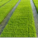 인제농장 이미지